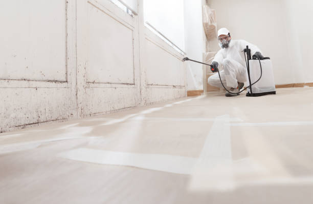 24/7 Emergency Mold Testing experts in Hudgins, VA