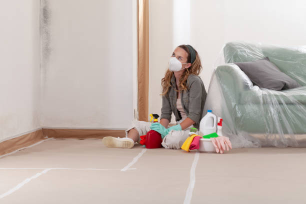 Reliable Mold Testing contractor in Hudgins, VA by WQB Mold Removal